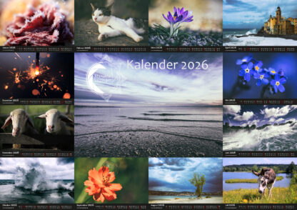Wandkalender 2026 Querformat – Bild 2